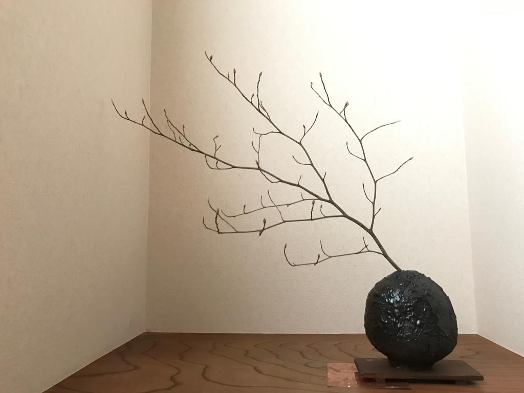 Sayama Aesthetics School Hotel Osakasayama Eksteriør billede